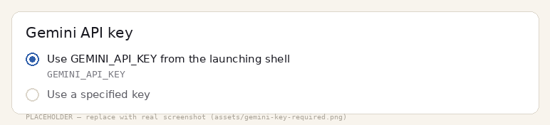 Looper's Gemini API key setting: Use GEMINI_API_KEY, or use a specified key.
